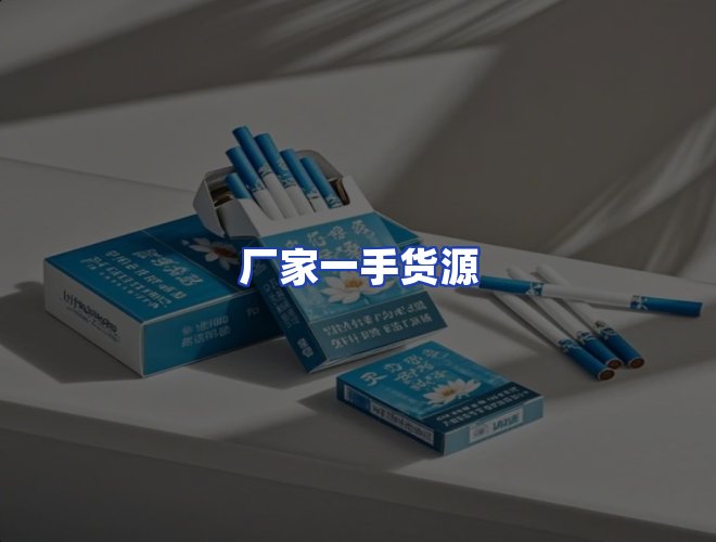 专业团队